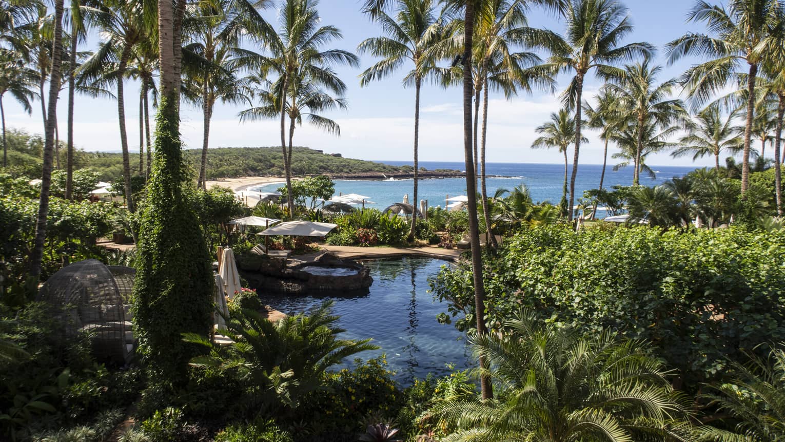 Four Seasons Resort Lanai